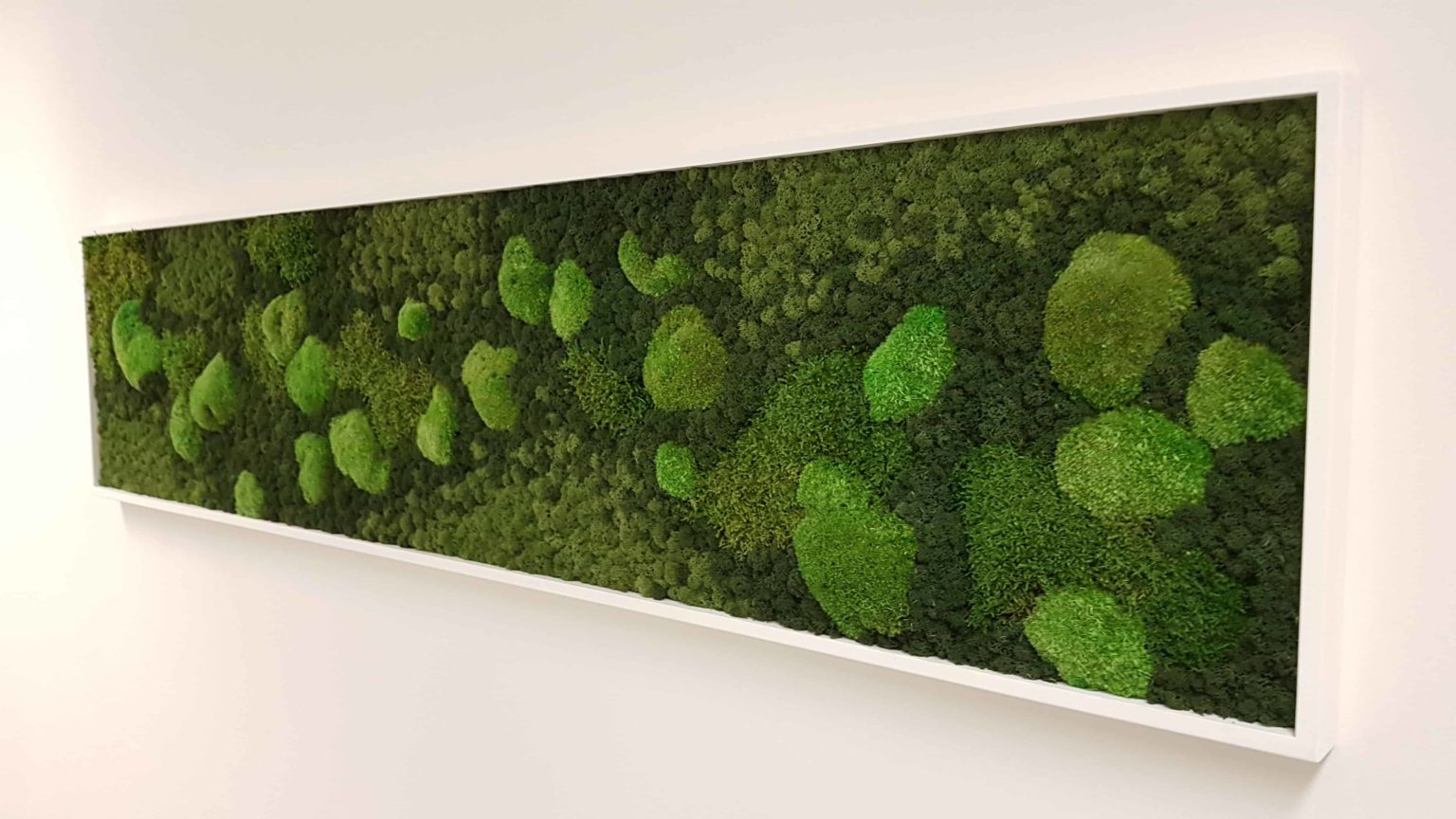 Mos kader: creatieve en duurzame decoratie - Moss Projects