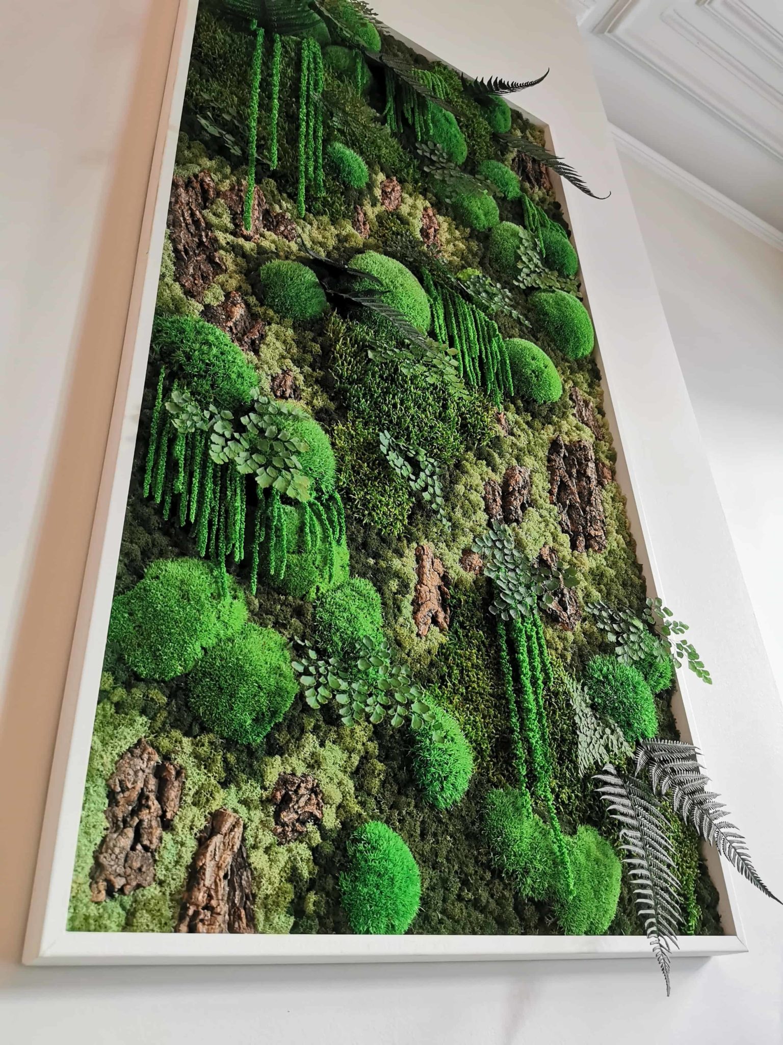 Mos kader: creatieve en duurzame decoratie - Moss Projects