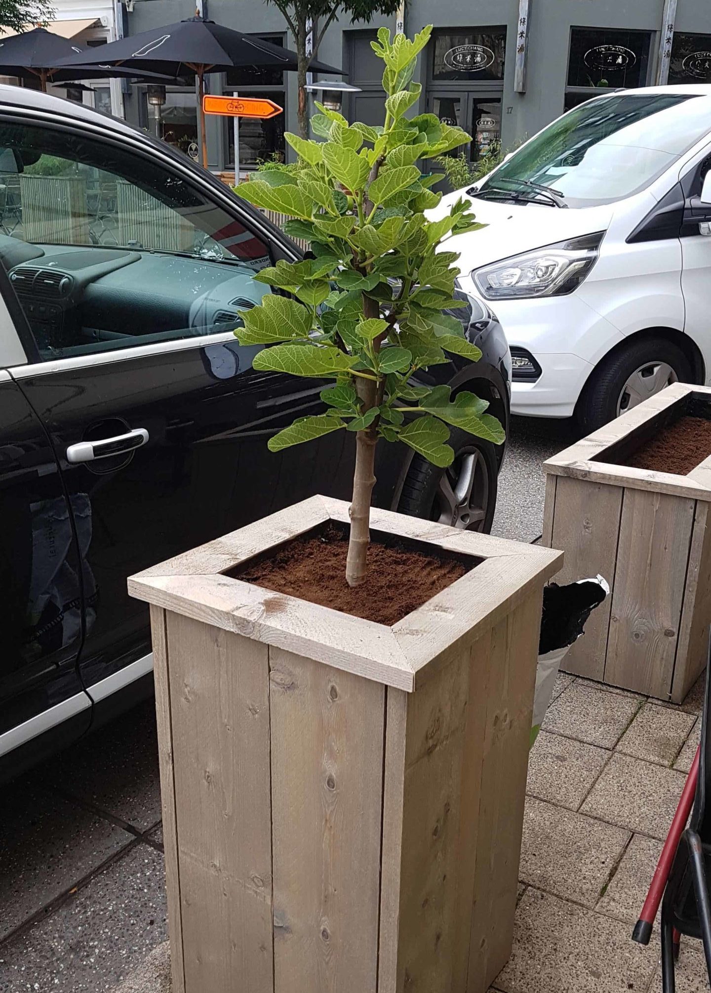 Een centrale tool die een belangrijke rol speelt Verzoekschrift druiven Steigerhouten plantenbakken op maat - Moss Projects